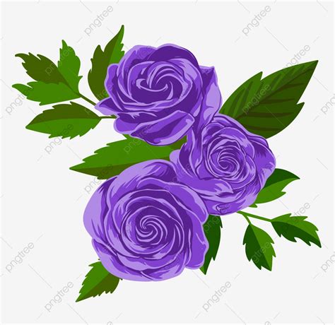 Purple Rose Flower Floral Vector Illustration Aloha Artistic