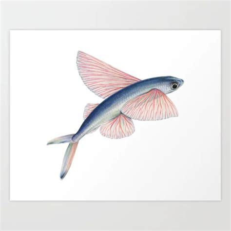 Flying Fish Art Print By Samibayly Fish Art Fish Illustration