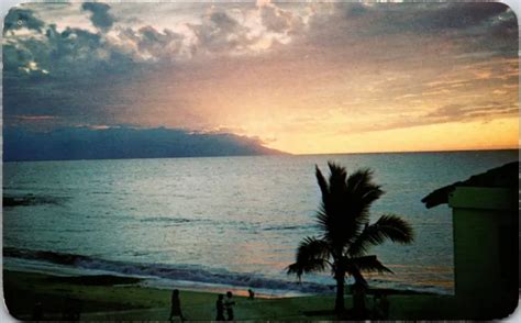 Puerto Vallarta Jalisco Mexico Twilight View Palm Tree Ocean Postcard