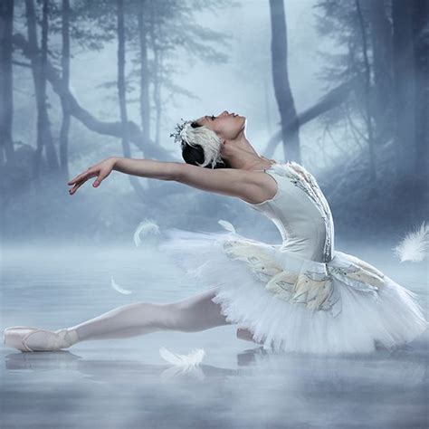 Swan Lake Returns To The Royal Winnipeg Ballet Swan Lake Ballet Swan