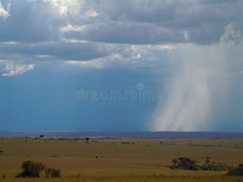 Rain Falling From The Sky Stock Image Image Of View 47747199
