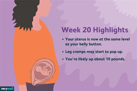 20 Weeks Pregnant Symptoms Baby Development And More