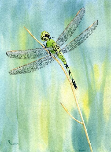 Green Dragonfly Giclee Print From A Watercolor Dragonfly Painting