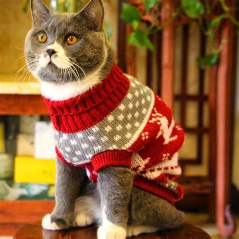 Cat Sweater Costume Winter Warm Cat Clothing for Cats Katten Kedi Giyim