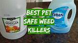 They are safe for pets: Top 5 Best Pet Safe Weed Killers 2020 Review - Grass Killer