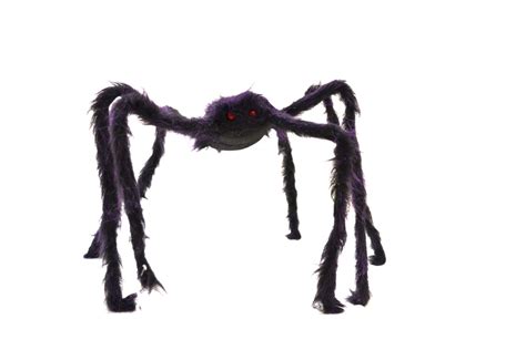 Halloweeen Club Costume Superstore Hairy Spider