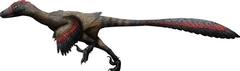 Explore The Best Atrociraptor Art Deviantart