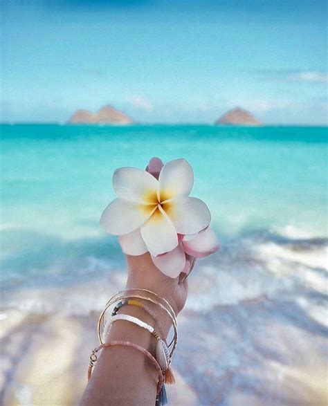 Pin By Haley Kristine Burgh ♡ On Summer Beach Wallpaper Beach Photos