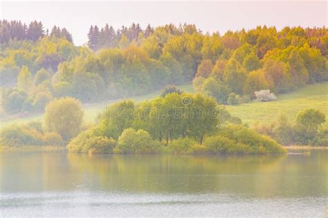 Tranquil Landscape Of Thick Autumn Woods Near Rippling Lake Stock Image