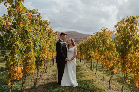 Hazy Mountain Vineyards And Brewery Wedding Venue Afton Va 22920