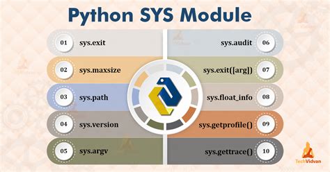 Modules In Python Types And Examples Techvidvan Sexiezpix Web Porn