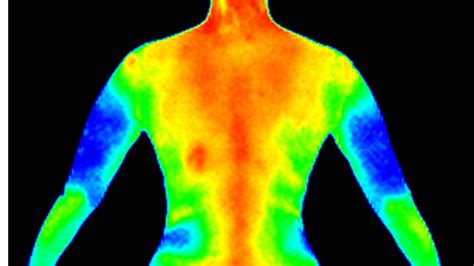 What Is Thermography Absolute Wellness Center