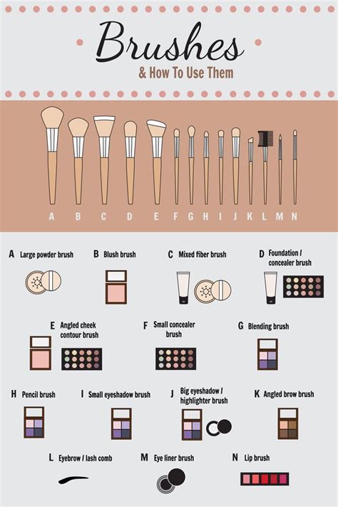 Cosmetic How To Use Brushes For Makeup Best Makeup Brushes Makeup
