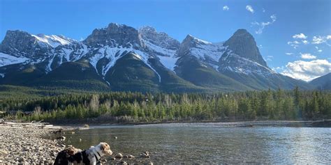 Accommodations Property Management Vacations In Canmore
