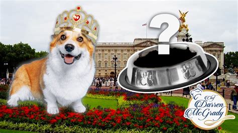 You Wont Believe What I Cooked For The Royal Corgis Youtube