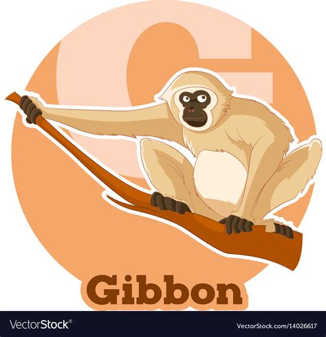 Abc Cartoon Gibbon Royalty Free Vector Image Vectorstock