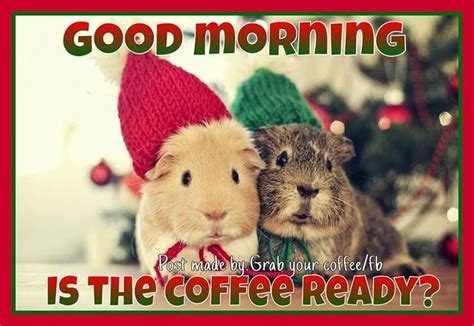 Good Morning Is The Coffee Ready Pictures Photos And