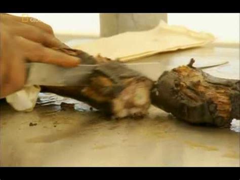Write the message you'd like to send to you loved ones incarcerated. prison food australia - YouTube