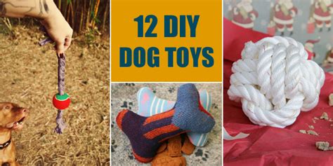 12 Cool Diy Dog Toys You Can Make At Home