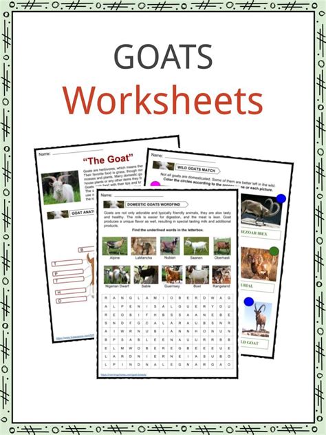 Goat Facts, Worksheets, Diet & Habitat Information for Kids