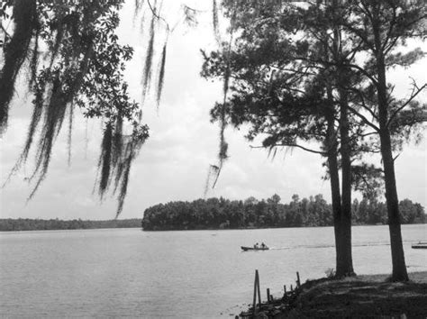 Lake Talquin Lake Florida Lake Life