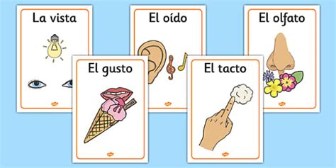 The 5 Senses Posters Spanish Teacher Made Twinkl