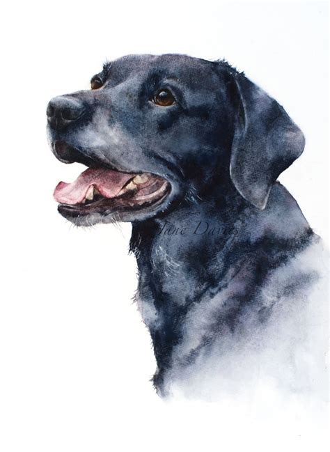 Angel The Black Labrador Watercolor Dog Dog Portrait Drawing Dog
