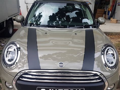 Mini One Mini Cooper Bonnet Pin Stripes Vinyl Graphics Decals Etsy