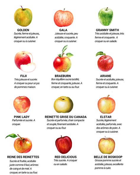 Quelques Unes Des Variétés De Pommes Les Plus Connues Et Comment Les