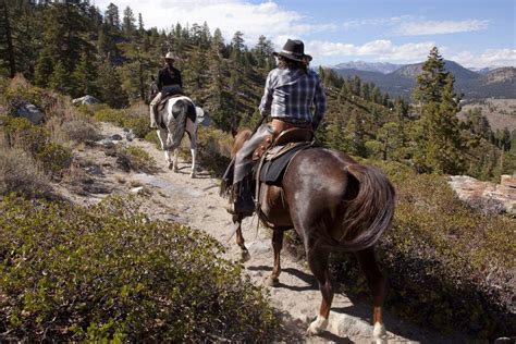 Sierra Meadows Ranch Mammoth Lodging Horse Boarding And Event Space