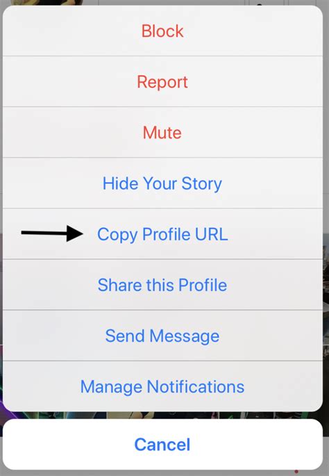 How To View An Instagram Profile Picture Social Buddy