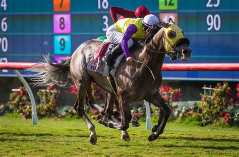 Road To The 2017 Breeders Cup Three Heating Up Three Cooling Down
