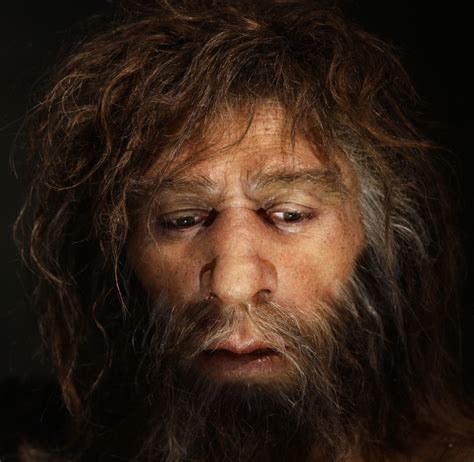 45000 Year Old Siberian Mans Genome Pinpoints When Neanderthals And