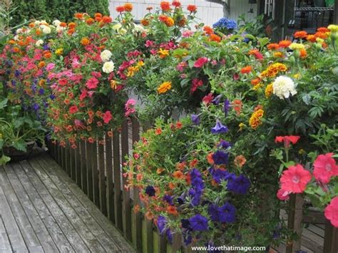 Front porch railing flower box with images flowers. Deck flower box idea - will use for the woods side of the ...