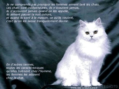 Voici nos idées pour lui. chats accueil