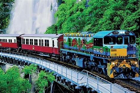 Full Day Kuranda Train And Skyrail Rainforest Tour From Cairns 2023 Cairns And The Tropical