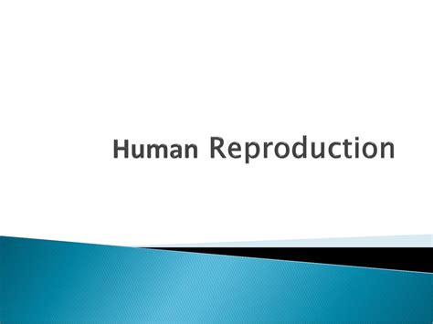 Human Reproduction Ppt Download