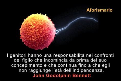 Aforismi Frasi E Citazioni Sul Concepimento Aforismario