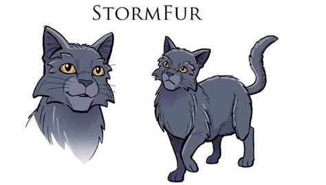 How To Draw Warrior Cats James L Barry We Can Now Focus On The Body