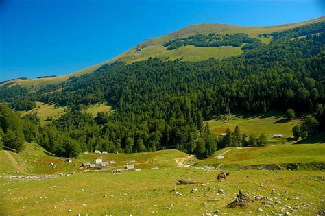 Discover more about montenegro, regions and towns, natural. NATIONAL PARK BIOGRADSKA GORA - Montenegro Travel Agency ...