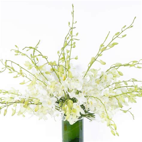 Marisol Flower Vase Bloomthis Online Flower Shop
