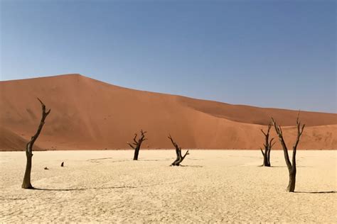 11 Things To Do In The Namib Desert In 2023