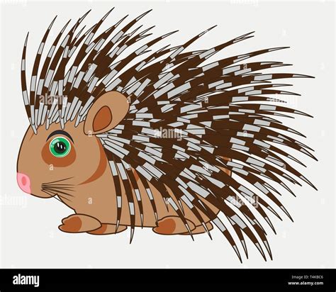 Animal Porcupine On White Background Is Insulated Stock Vector Image