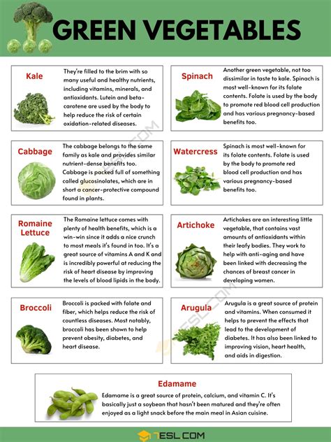 Green Vegetables List Of 33 Green Vegetables And Their Benefits • 7esl