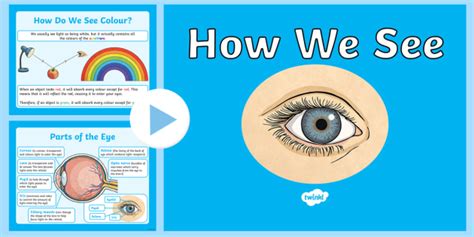 How We See Powerpoint How Eyes Work Ks2 Teacher Made