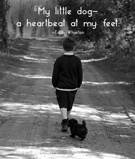 Pet care brought to you by people who care. Great Quotes About Pets - Barnorama