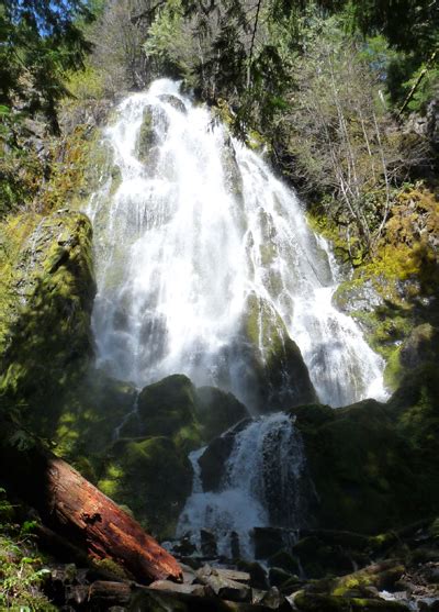 Cascade Ramblings Cascader Moon Falls Trail Umpqua National Forest