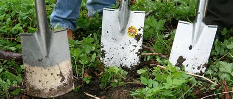 February 7 at 6:00 am ·. Essential Garden Tools To Create An Epic Outdoor Garden ...