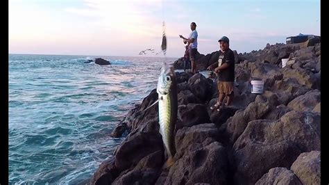 Pesca De Jureles En La Poza Youtube
