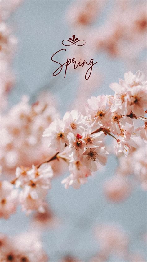 Cute Spring Wallpaper Iphone Nourish Your Glow